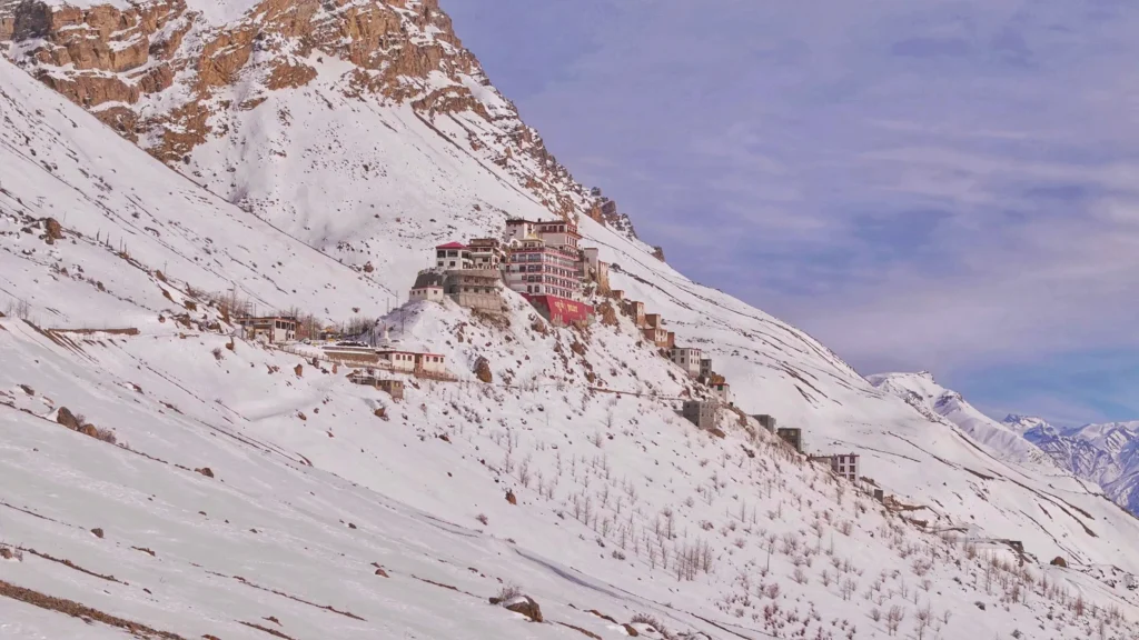 WhatsApp Image 2025-07-17 at 3.40.59 AM