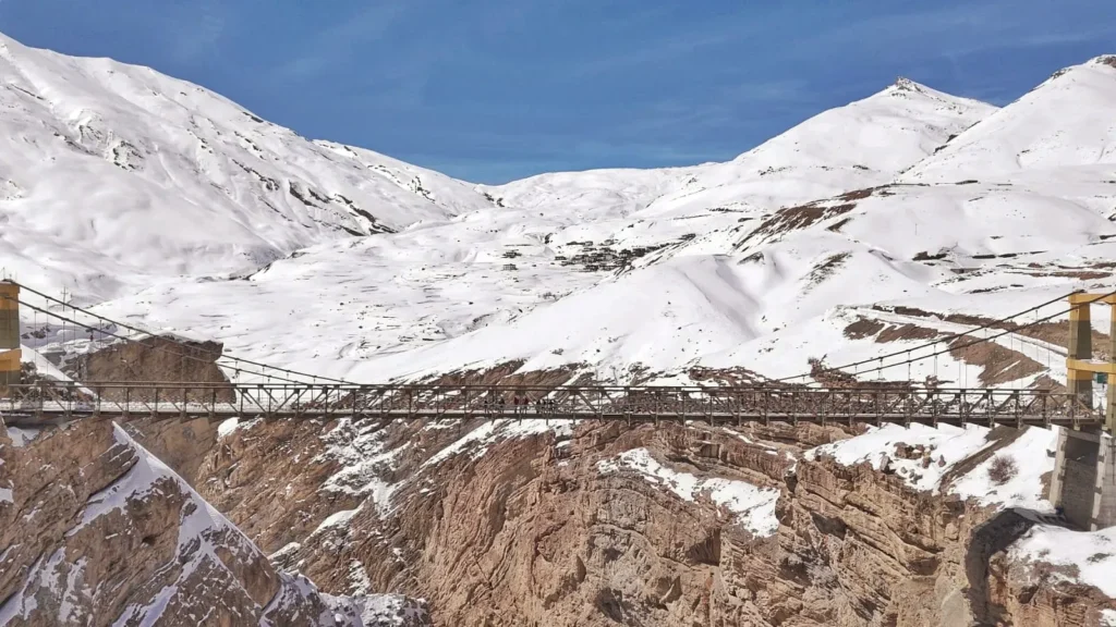 WhatsApp Image 2025-07-17 at 3.41.00 AM (1)