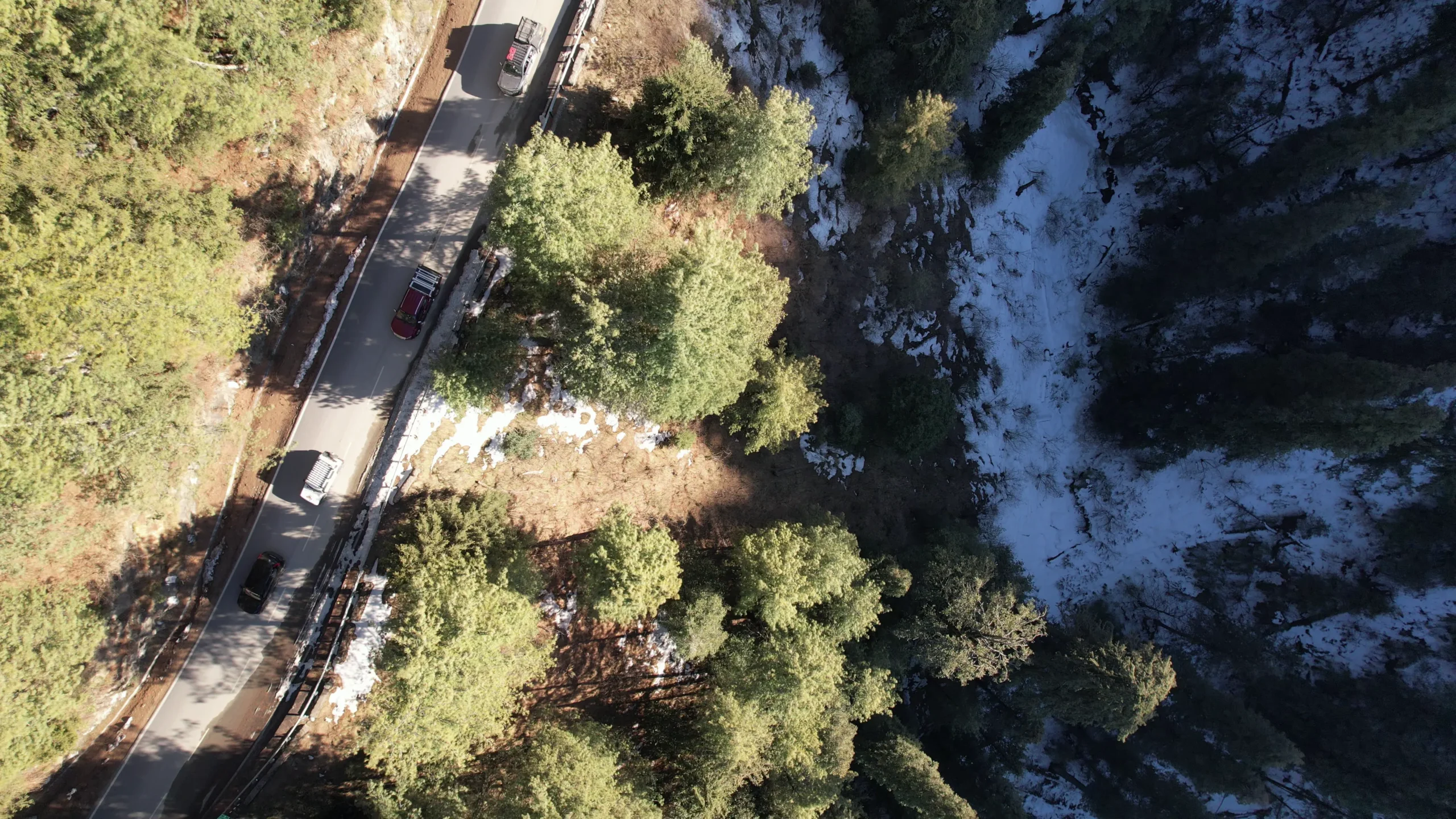 vlcsnap-2026-02-28-13h23m47s836