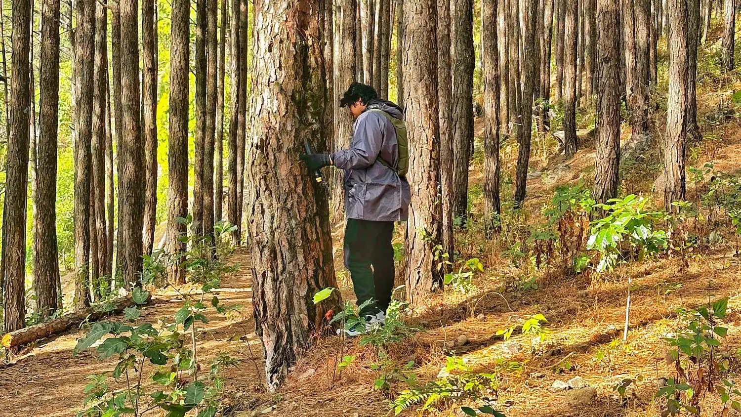 Uttarakhand Nature Retreat – 2 Nights 3 Days Wellness Escape photo 13