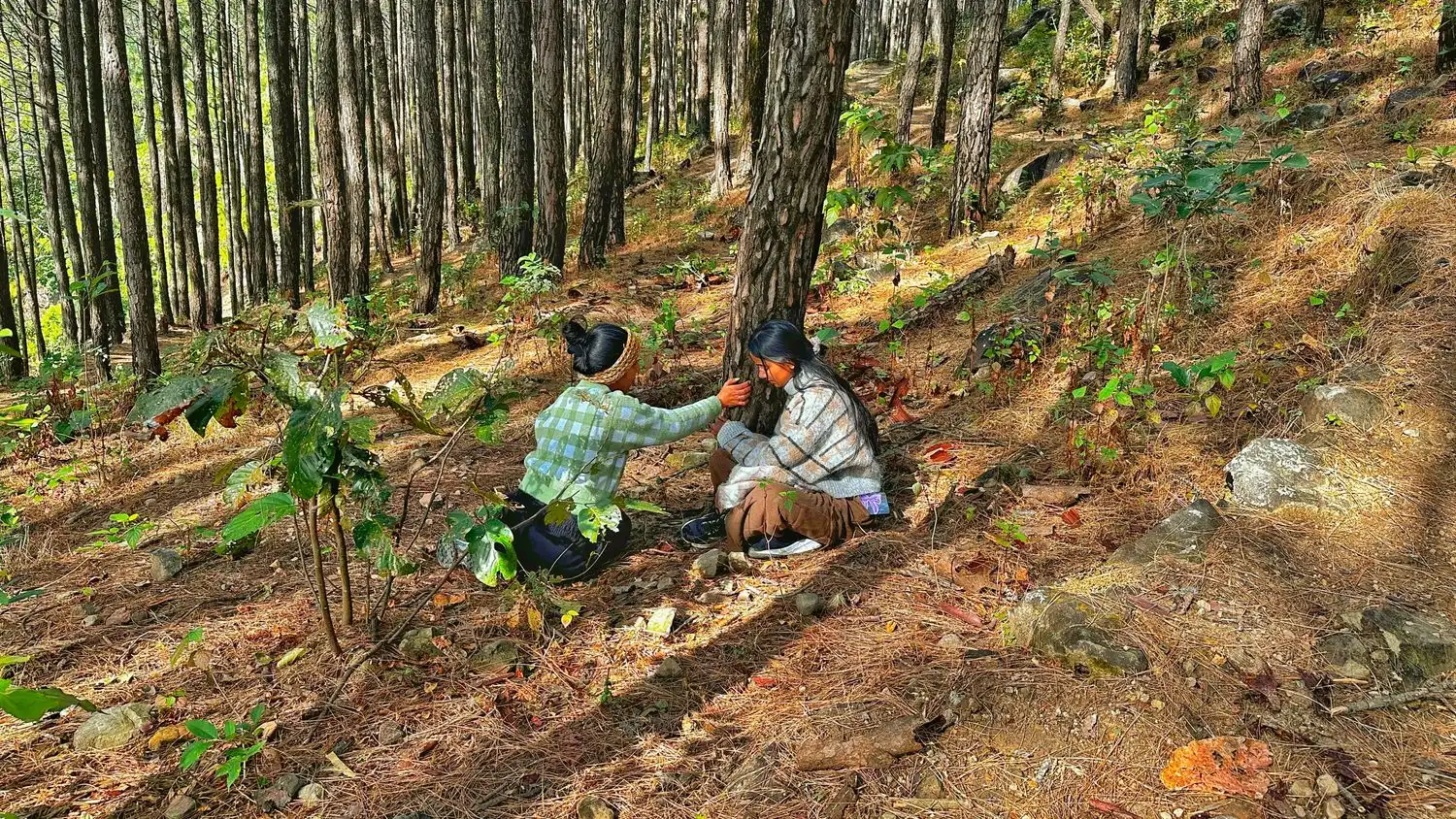 Uttarakhand Nature Retreat – 2 Nights 3 Days Wellness Escape photo 1