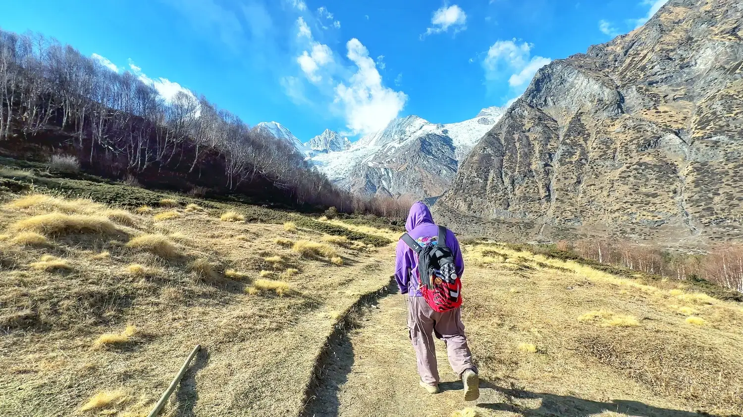 Darma Valley Self-Drive Expedition – Munsiyari Camping & Panchachuli Base Camp Trek photo 15